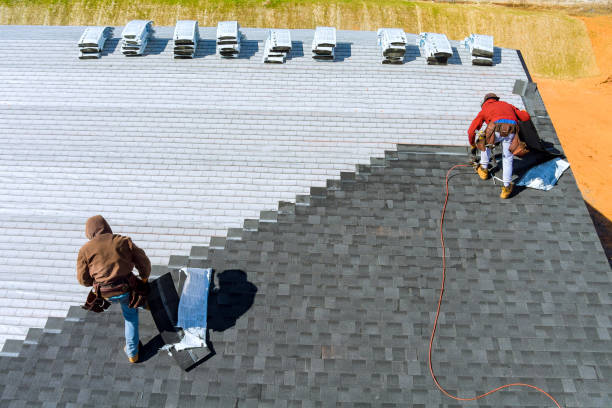 Best Metal Roofing Contractor  in Lindsay, OK